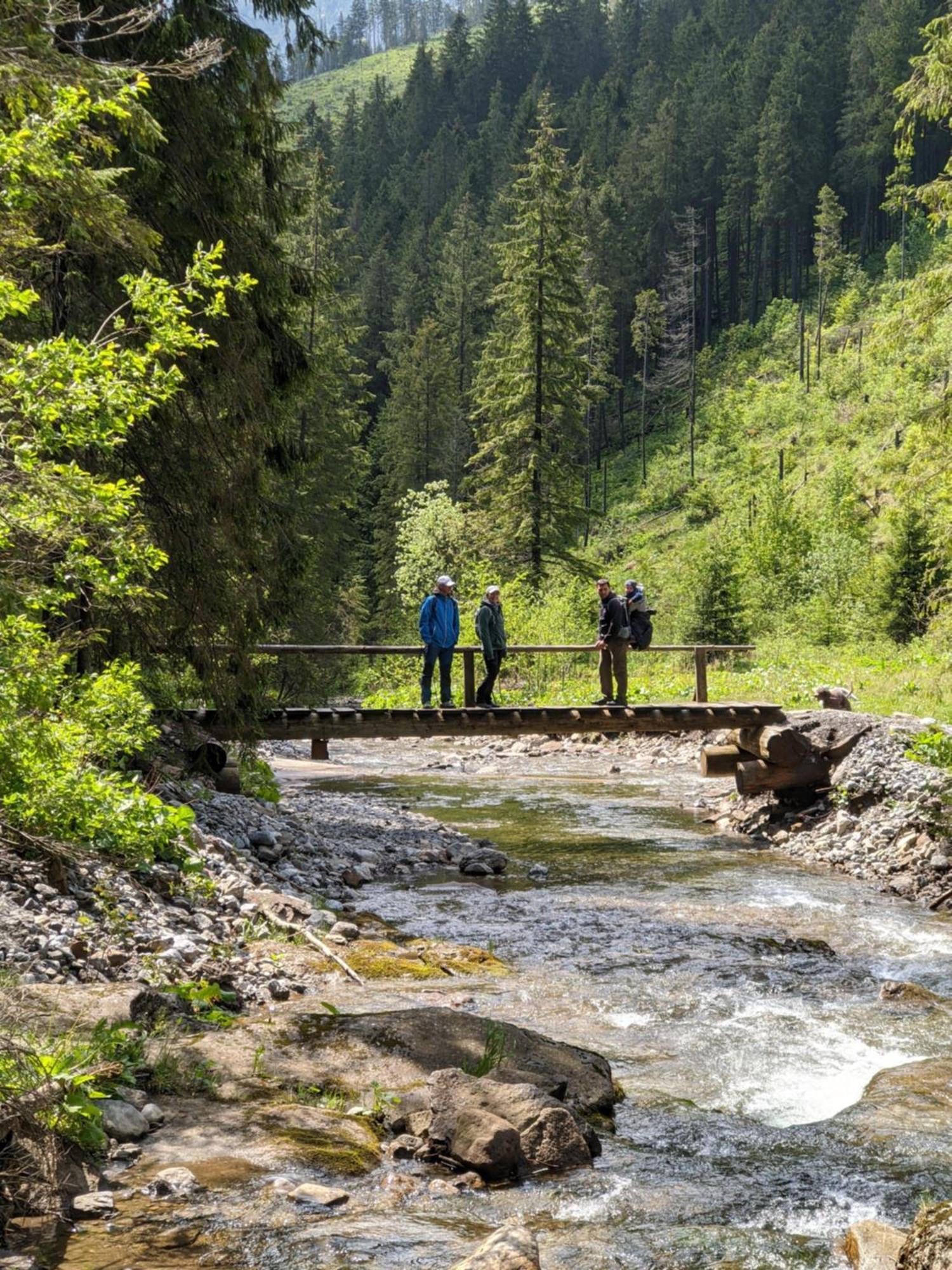 Apartmán Hory - V srdci Tatier Vysoké Tatry Kültér fotó